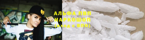 СК Аркадак