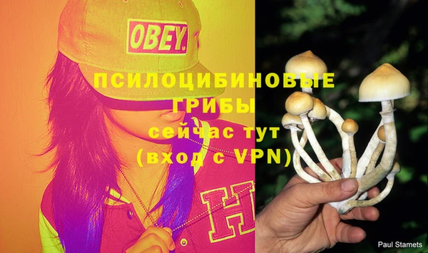 МДПВ Армянск