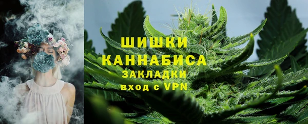 ГАЛЛЮЦИНОГЕННЫЕ ГРИБЫ Арсеньев