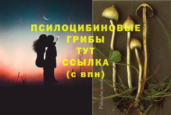 ГАЛЛЮЦИНОГЕННЫЕ ГРИБЫ Арсеньев
