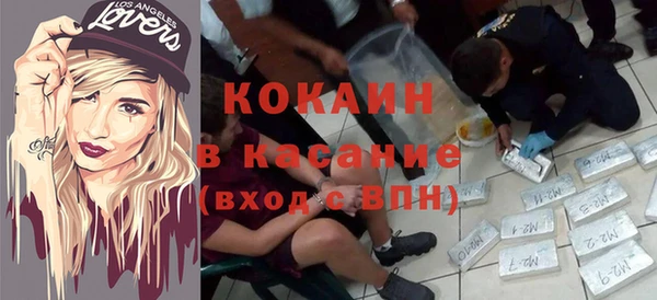 ГАЛЛЮЦИНОГЕННЫЕ ГРИБЫ Арсеньев