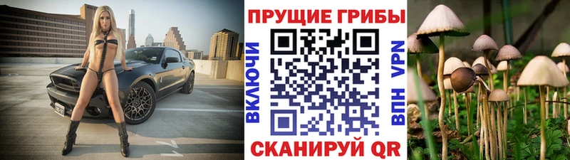 Псилоцибиновые грибы Magic Shrooms  Оханск 